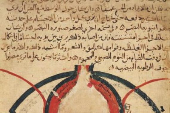 Al Mutadibi