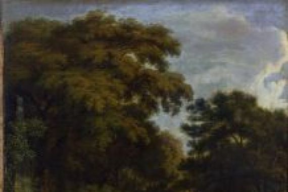 Albert Meyering