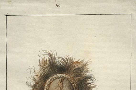 Albertus Frese de Jonge