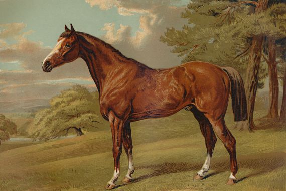 Aldfred Sheldon Williams