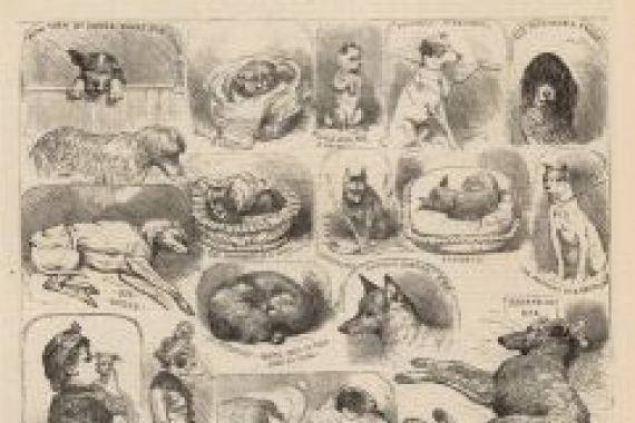 Alfred Chantrey Corbould