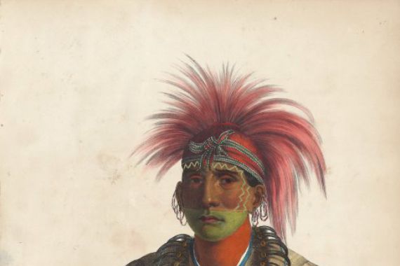 Alfred Hoffy, after Charles Bird King