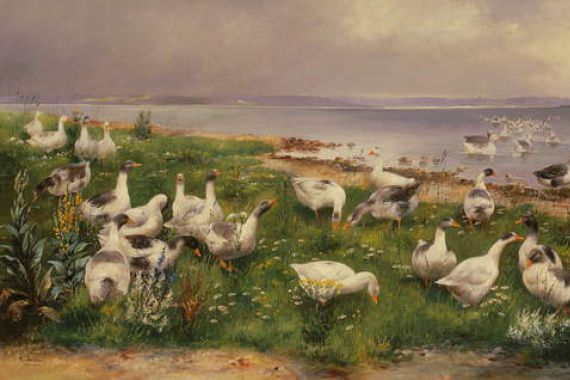 Alfred Schonian