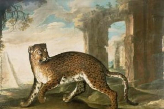 Andrea the Elder Scacciati