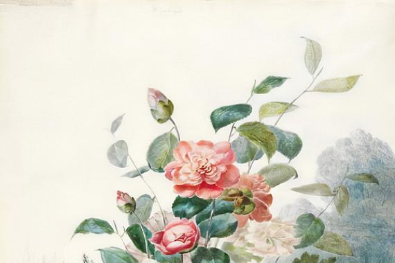 Antoine Pascal