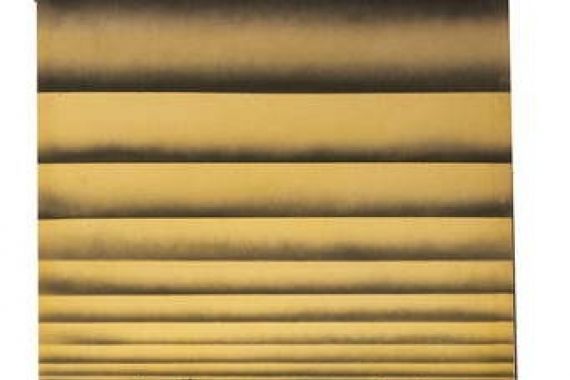 Barrie Cook