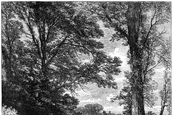 Birket Foster