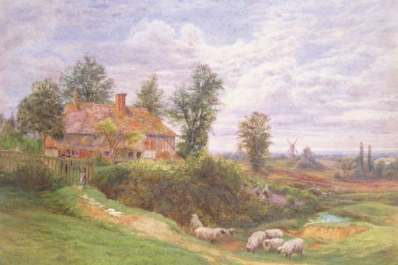 Bonami Edward Warren