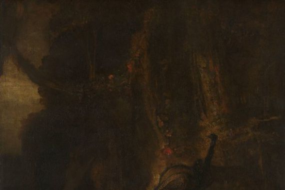Carel Fabritius (copy after)