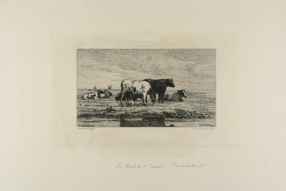 Carel Nicholaas Storm van Gravesunde