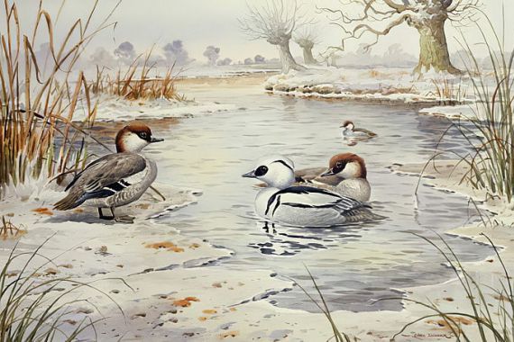 Carl Donner