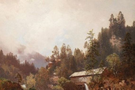 Carl Hasch