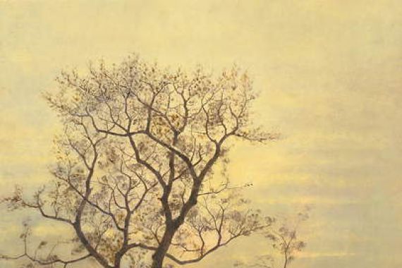 Carl Schultze