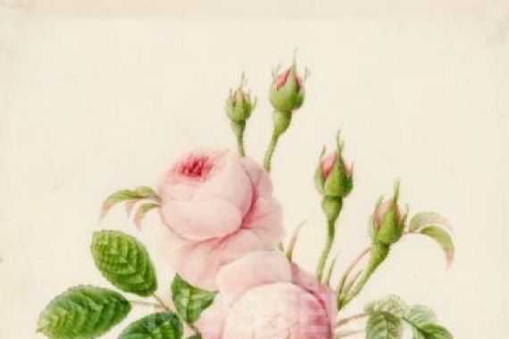 Caroline Adrien