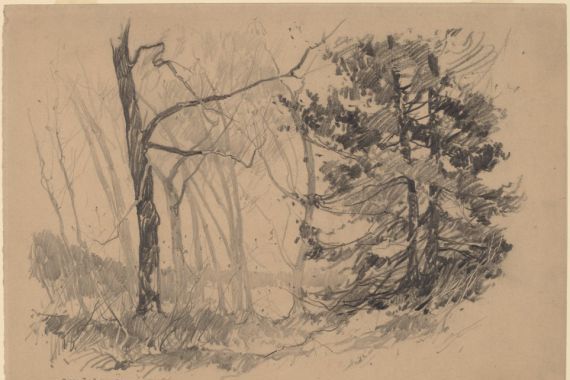 Charles H. Woodbury