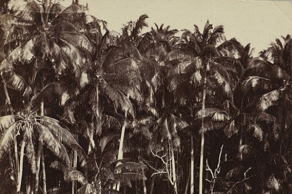 Charles Spitz