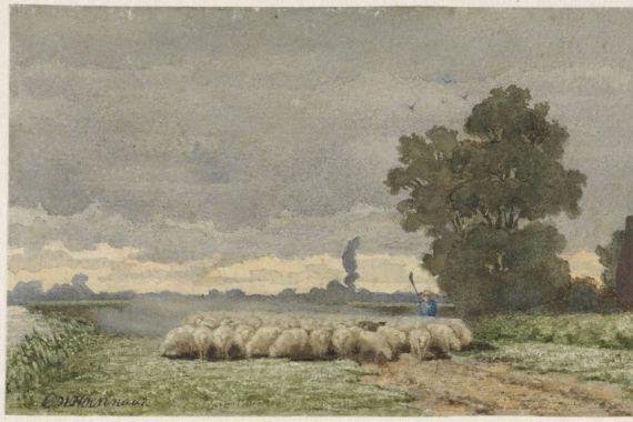 Cornelis Willem Hoevenaar (II)