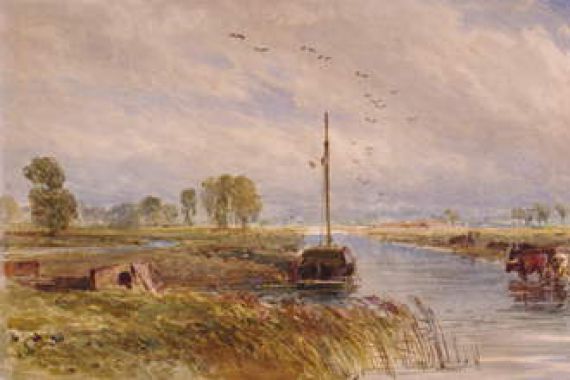 E Ellis