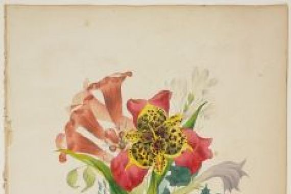 E. W. Wirt