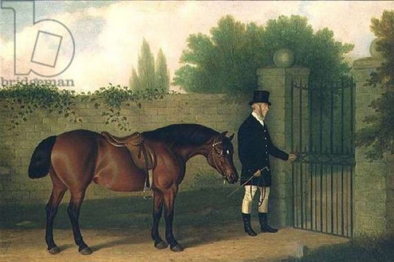 Edward Tolley