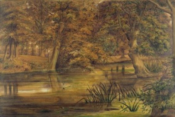 Edward W. Fitch
