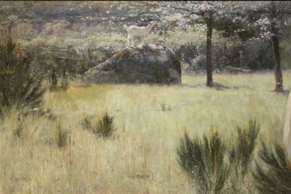 Edwin Sherwood Calvert