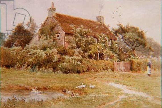 Elliot Henry Marten