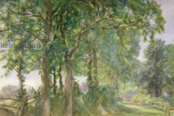 Erskine E. Nicol