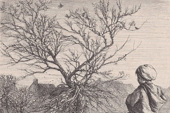 François Rouget