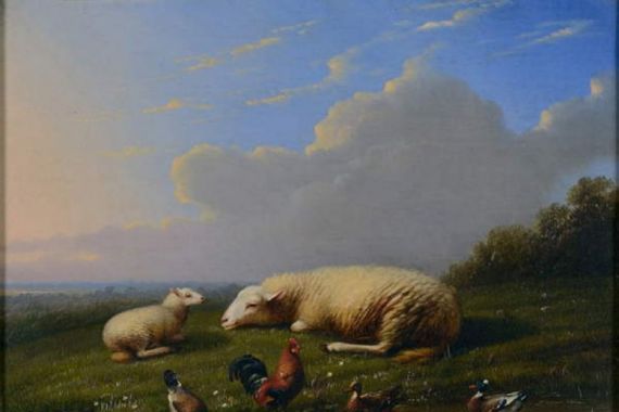 Franz van Severdonck