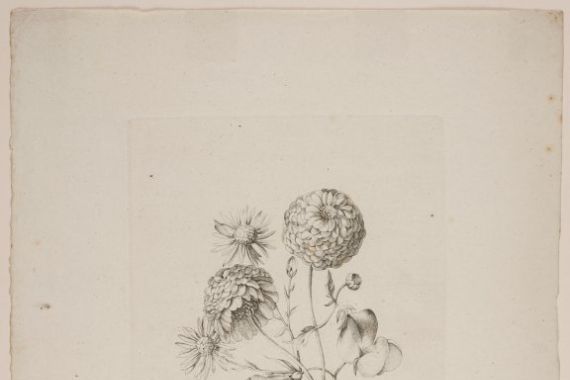 Frederik Schepelern