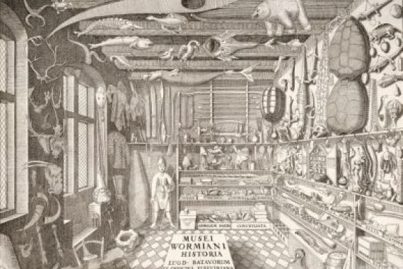 G. Wingendorp