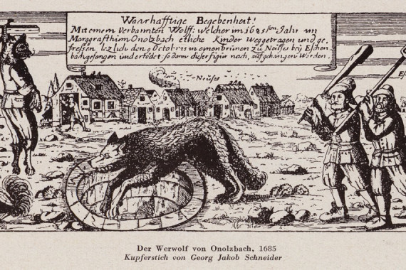 G.J. Schneider