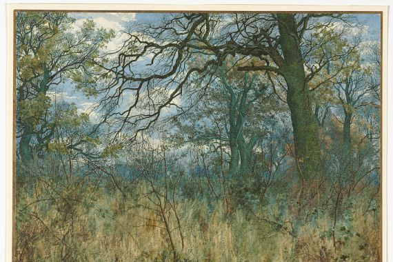 Garden William Fraser