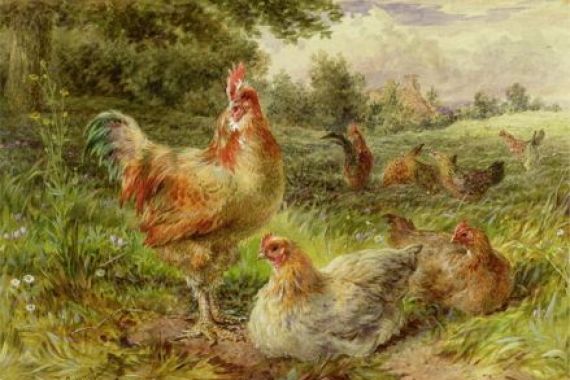 George Hickin