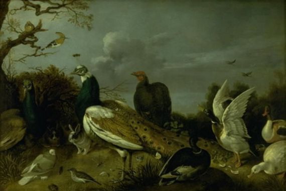 Gijsbert Gillisz. de Hondecoeter