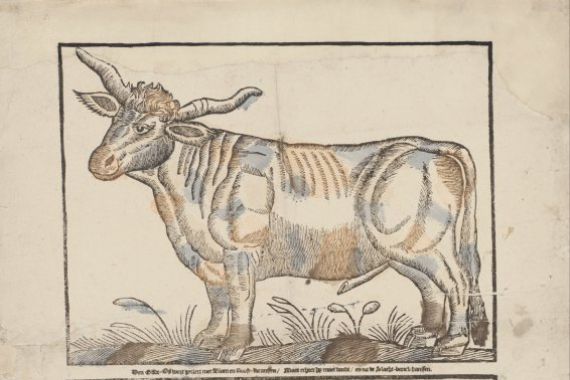 Gijsbert de Groot Keur