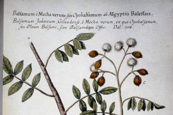 Giovanni Battista Morandi