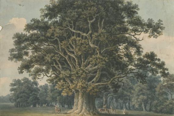 H Moore
