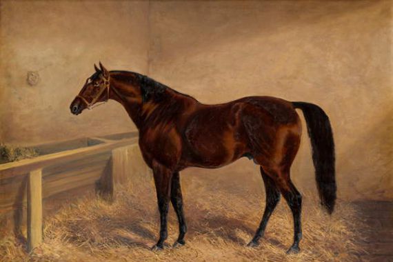 H. Whittaker Reville