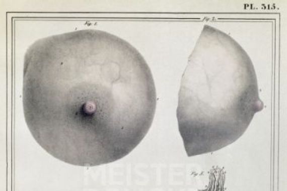 Haincelin