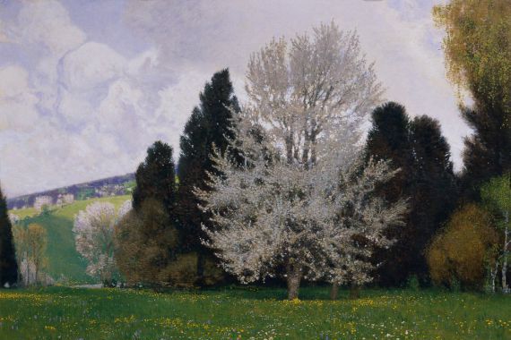 Hans Wilt