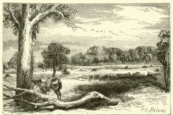 Harden Sidney (after) Melville
