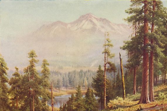 Harold Sutton Palmer