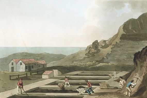 Havell and Son