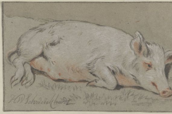 Hendrik Willem Schweickhardt (signed by artist)