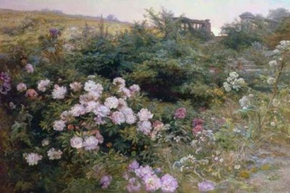 Henry Arthur Bonnefoy