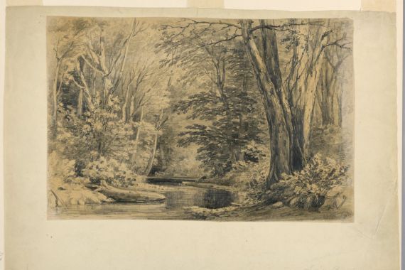Henry Hitchings
