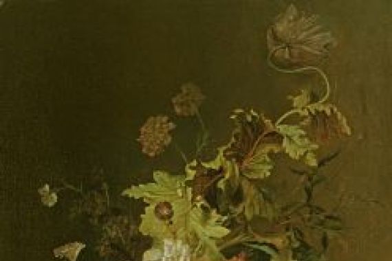 Herman van der Myn