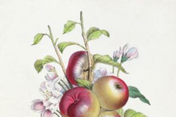 J. B. Pointel du Portail